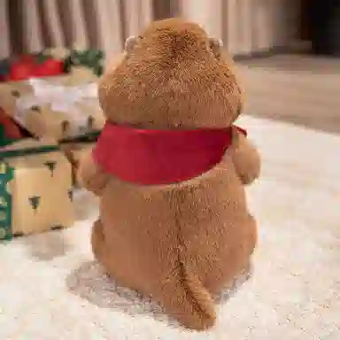 30cm