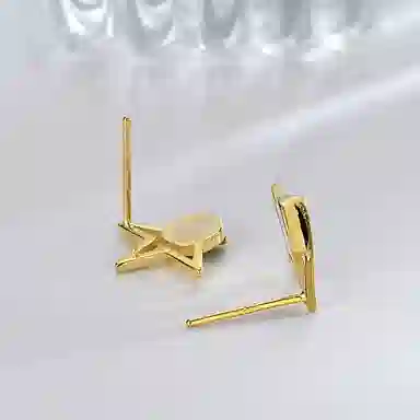 R-Z-Y ins S925