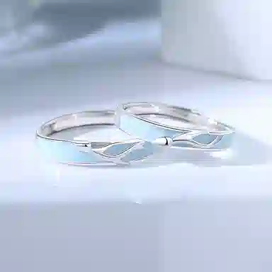 R-Z-Y s925