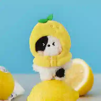 LINE FRIENDS mini minini