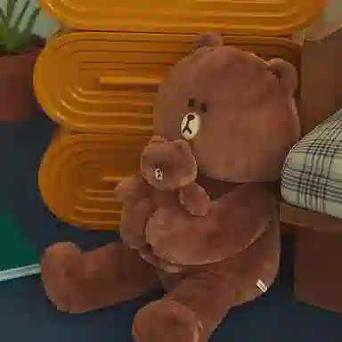 LINE FRIENDS HUG BROWN