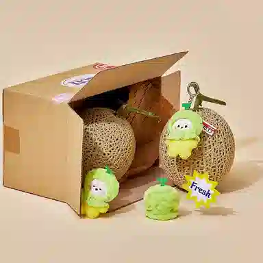 LINE FRIENDS minini