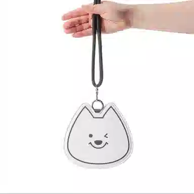 LINE FRIENDS ROY6 IP