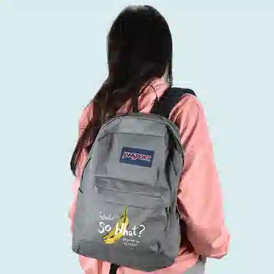 JanSport 26L Logo