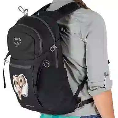 OSPREY20L Daylite Plus