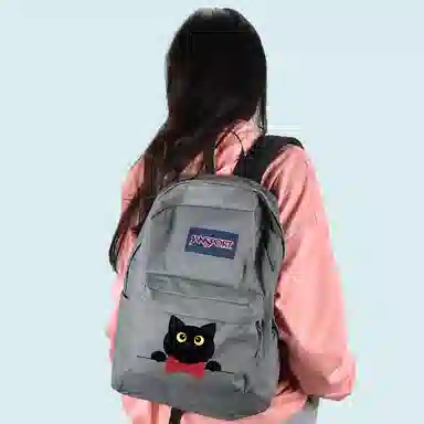 JanSport 26L Logo