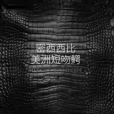 iStrap Cartier 14mm16mm18mm20mm22mm