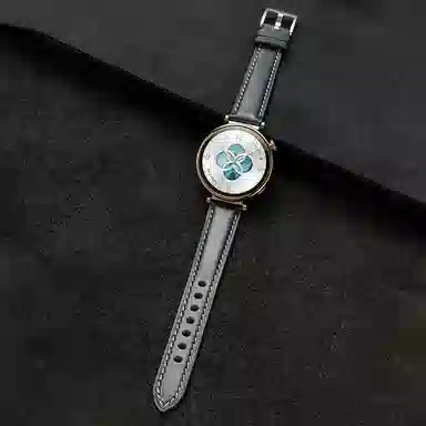 iStrap Watch GT5GT4gt3gt2budswatch543 Pro