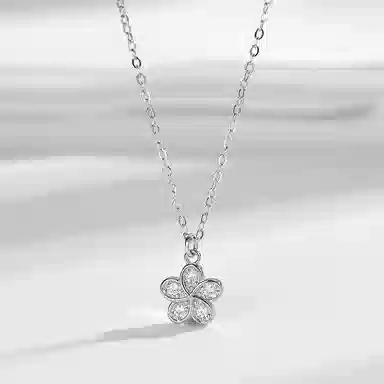 CHRROTA S925 ins S925