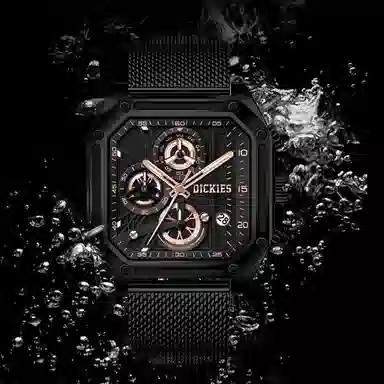 Dickies CL-584