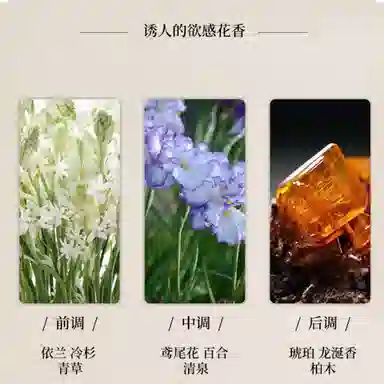 fanyongchen EDT 30ml