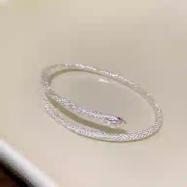 BLESSED BULLET