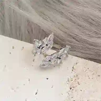 BLESSED BULLET