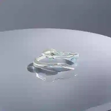 BLESSED BULLET