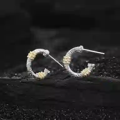 BLESSED BULLET c ins