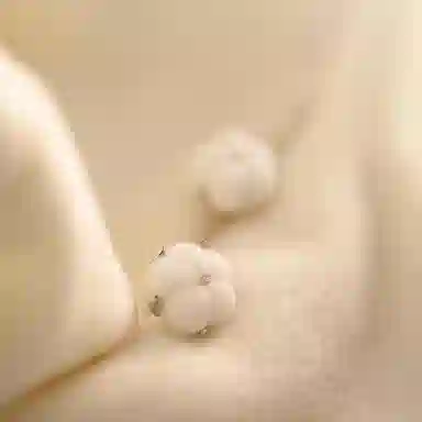 BLESSED BULLET ins S925