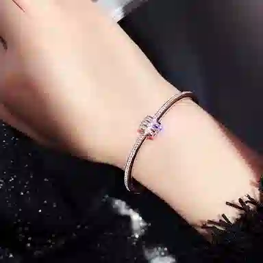 BLESSED BULLET