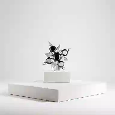 BLESSED BULLET ins s925