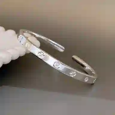BLESSED BULLET