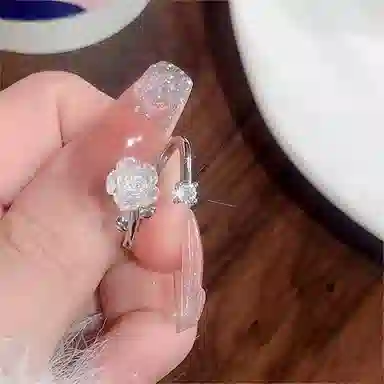 BLESSED BULLET