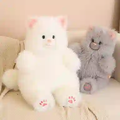 40cm50cm