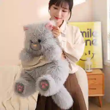 40cm50cm