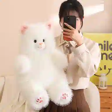 40cm50cm