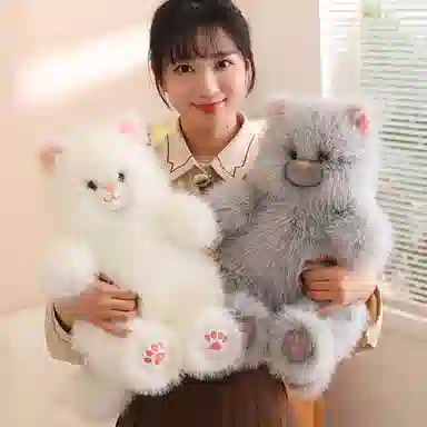 40cm50cm