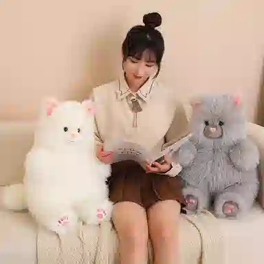 40cm50cm