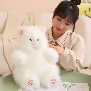 40cm50cm