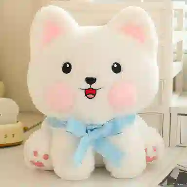 30cm