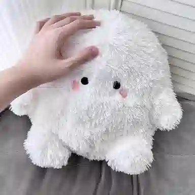 30cm