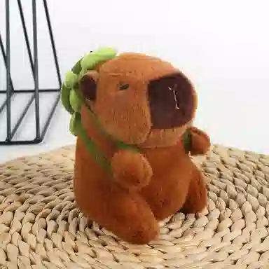 15cm