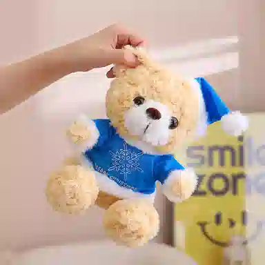 卡威 泰迪熊布娃娃 玩偶 毛绒公仔