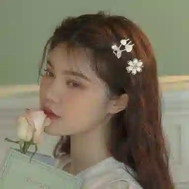 建禄 甜美精致可爱成人刘海夹子后脑勺顶夹蝴蝶结头花侧边夹好运 合金 发夹 女款