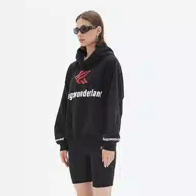 Kang's wonderland Logo