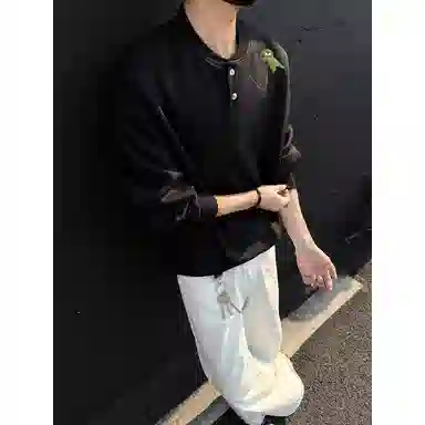 RTVH Polo