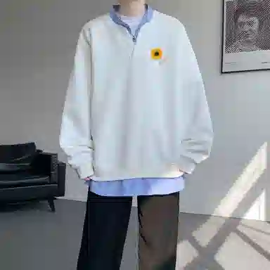 RTVH V