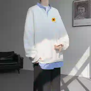 RTVH V