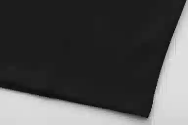 ONE LILACFISH logo-1T