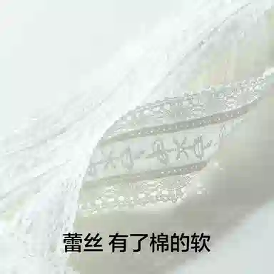 有棵树 不染色蕾丝短袖短裤可外穿柔软亲肤舒适透气时尚简约轻盈优雅水洗不硬家居服睡衣套装 女款 礼袋装