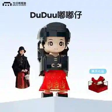 DIY 0-300pcs DRYL009