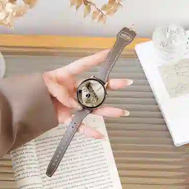 biaodaige GT542mmwatchgt320mmGT4
