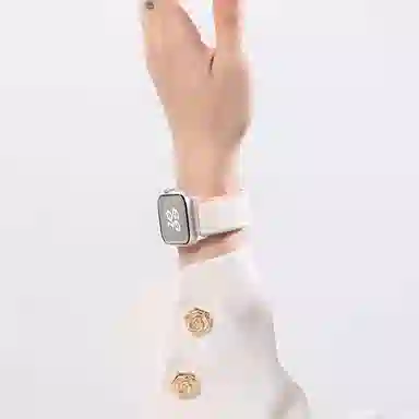 biaodaige Watch FIT 2FIT3 130-200mm