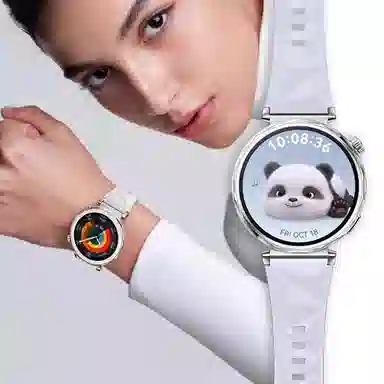 biaodaige watch4rogt5pro