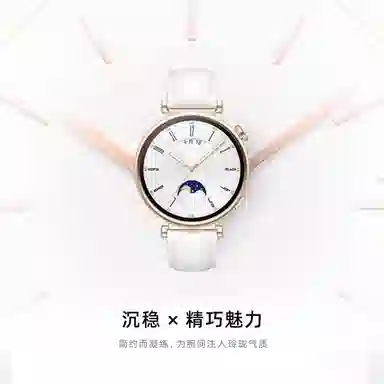 biaodaige GT5watch4rogt5probudsultimatemagic