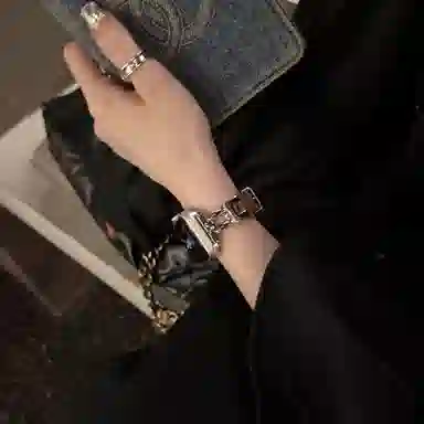 biaodaige