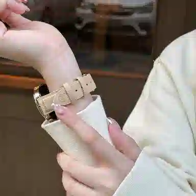 biaodaige gt5GT441mmgt3watch4gt2