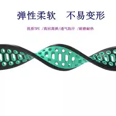 biaodaige watchgt4proGT runnerwatch4