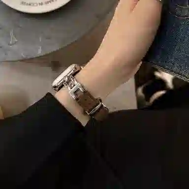 biaodaige